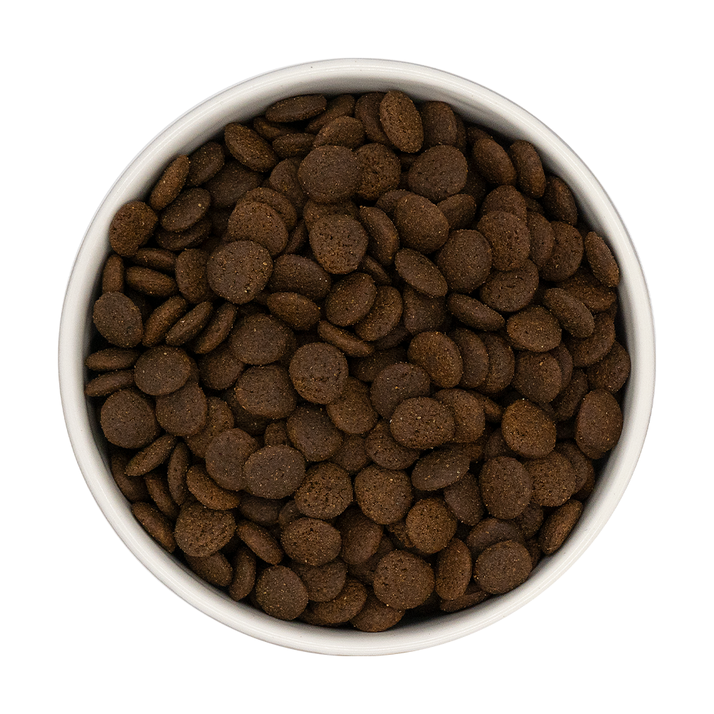 Croquettes Chien Wilderness 80% Canard Porc Dinde Bœuf