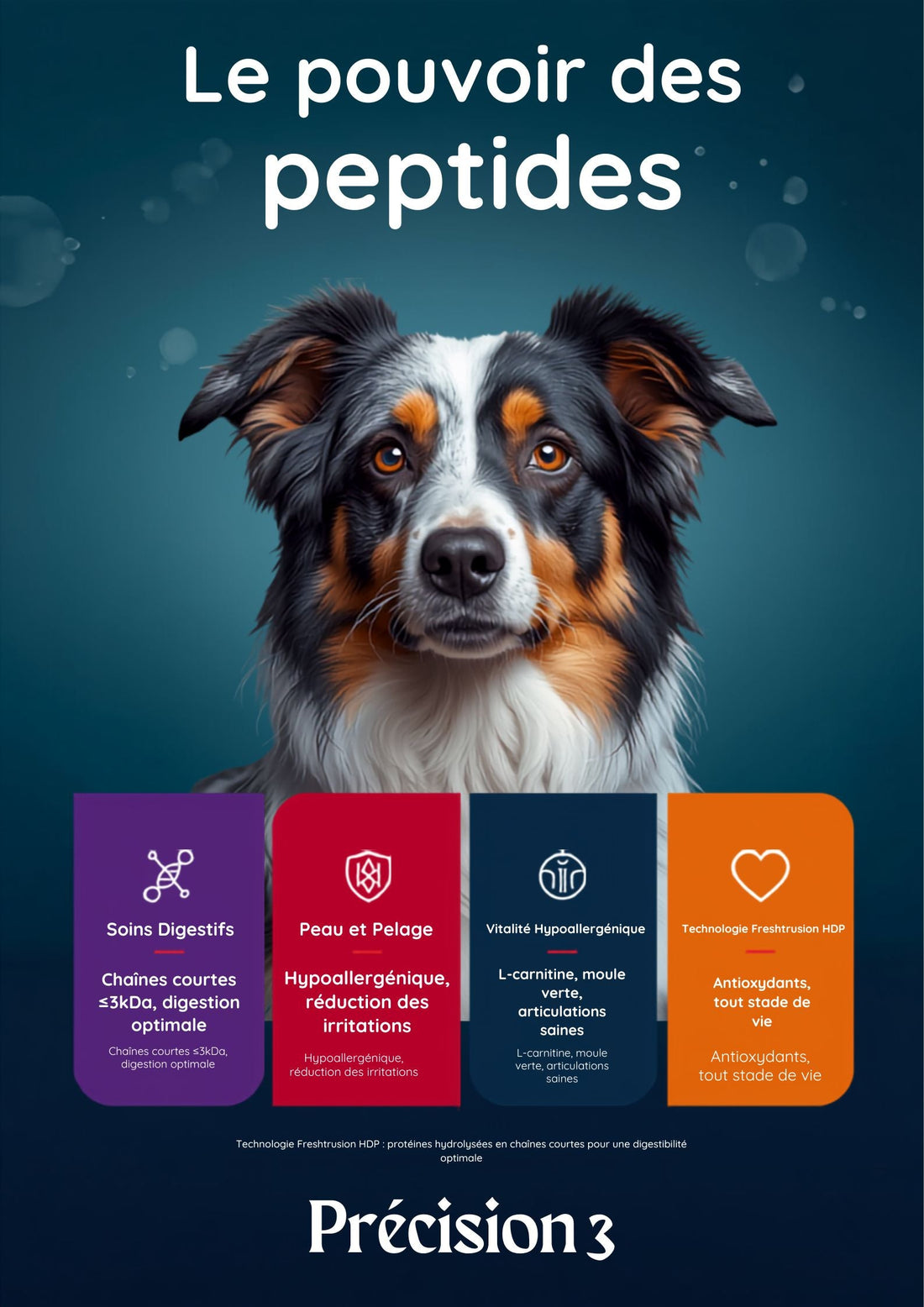 Allergies alimentaires chez le chien : symptômes, causes et solutions