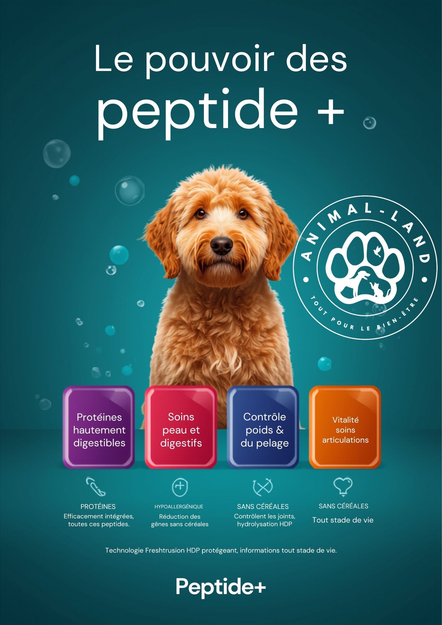 Peptide+ Chiens Hypoallergénique