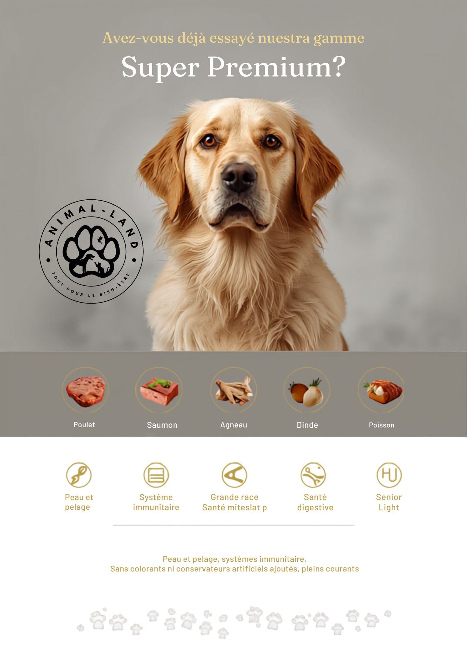 Super Premium Chien