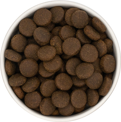 Origine 50 — chien adulte grande race, dinde, patate douce et canneberge