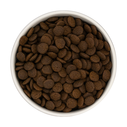 Croquettes Chien Wilderness 80% Canard Porc Dinde Bœuf