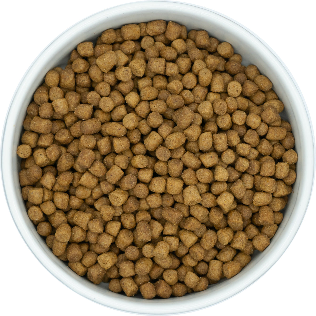 Nutrisain Chat — Canard & riz - adulte