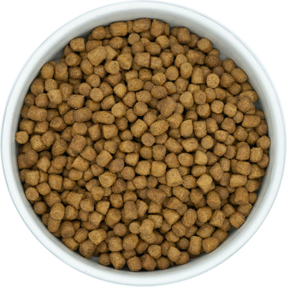 Nutrisain Chat — Canard & riz - adulte