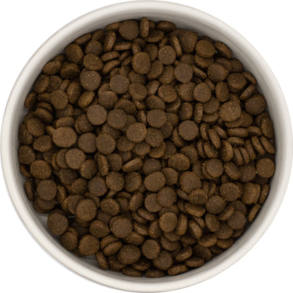 Nutrisain Chat — Saumon & Poulet, riz - Adulte