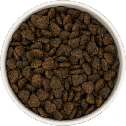 Peptide chien soins de la peau et du pelage