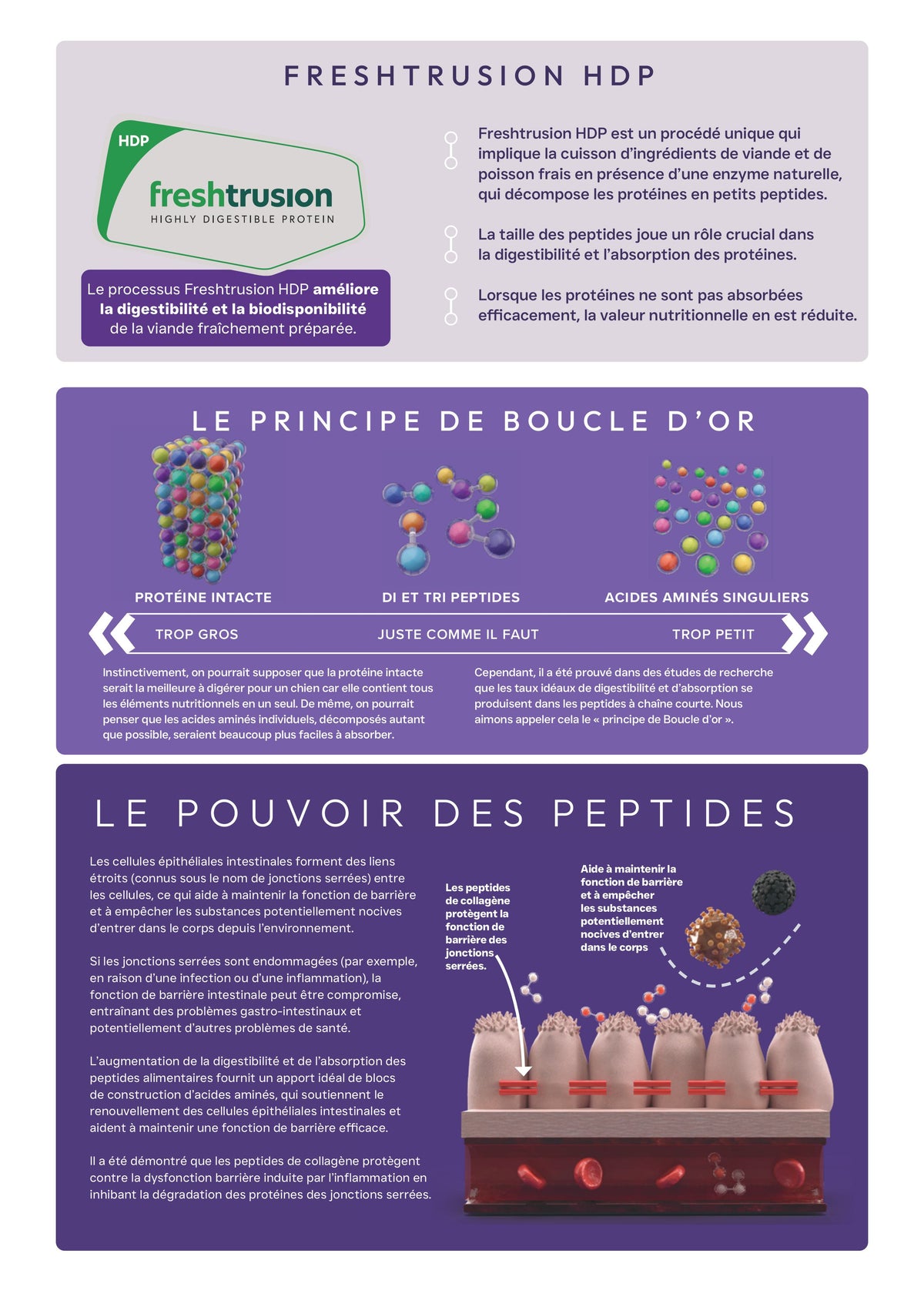 Précision 3 — Soins Digestifs & Gastro-Intestinaux Dinde hydrolysée - Adulte