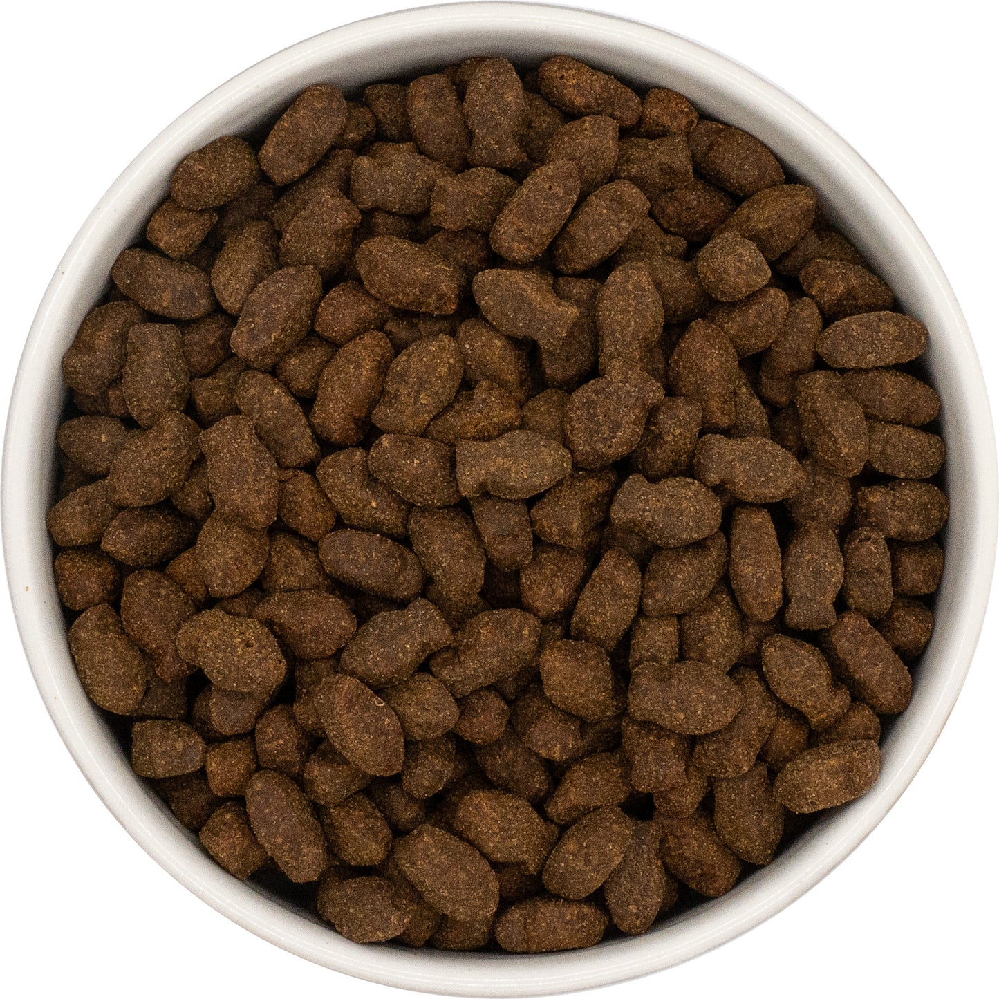 Friandises 80% Poisson Chien Chat – Saumon Truite Sans Céréales | Animal-Land
