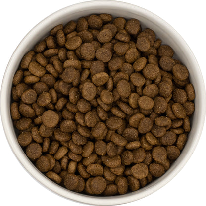 Nutrisain Chat — Poulet, riz - Adulte