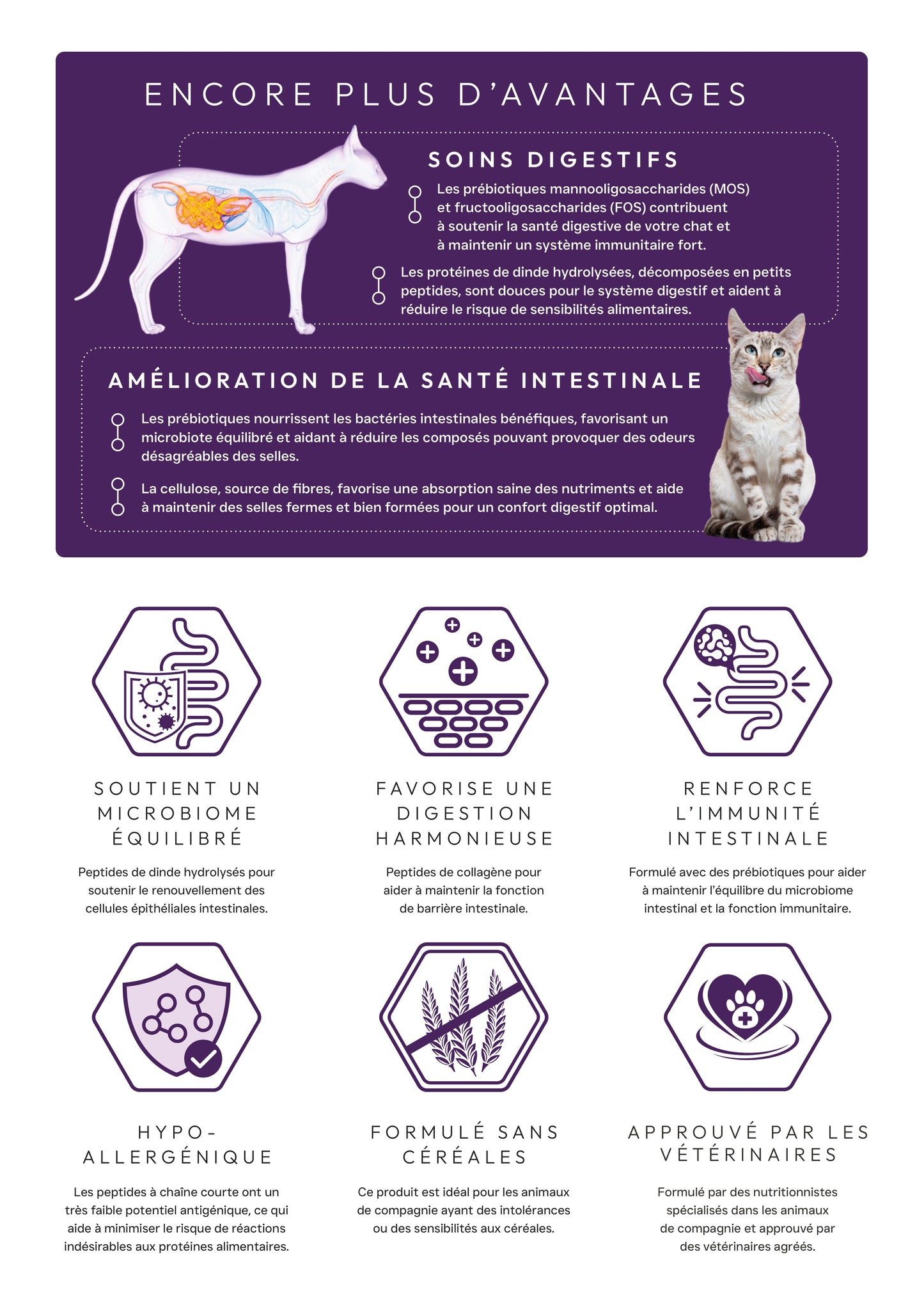 peptide + chat soins gastro-intestinaux et digestifs