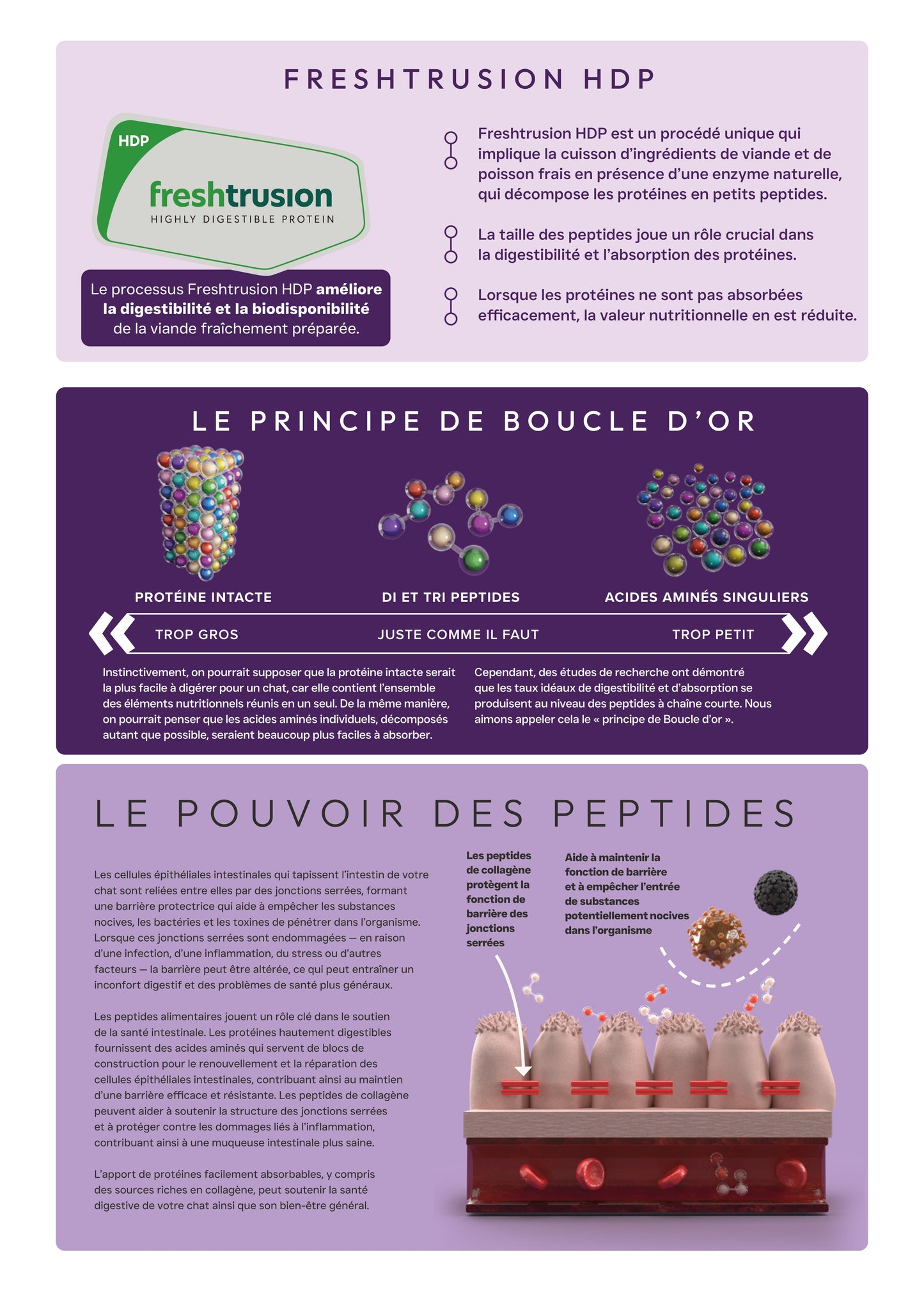 peptide + chat soins gastro-intestinaux et digestifs