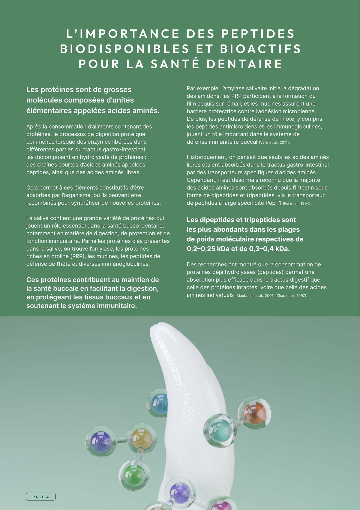 Précision 3 — Soins Dentaires Dinde & saumon hydrolysés - Adulte