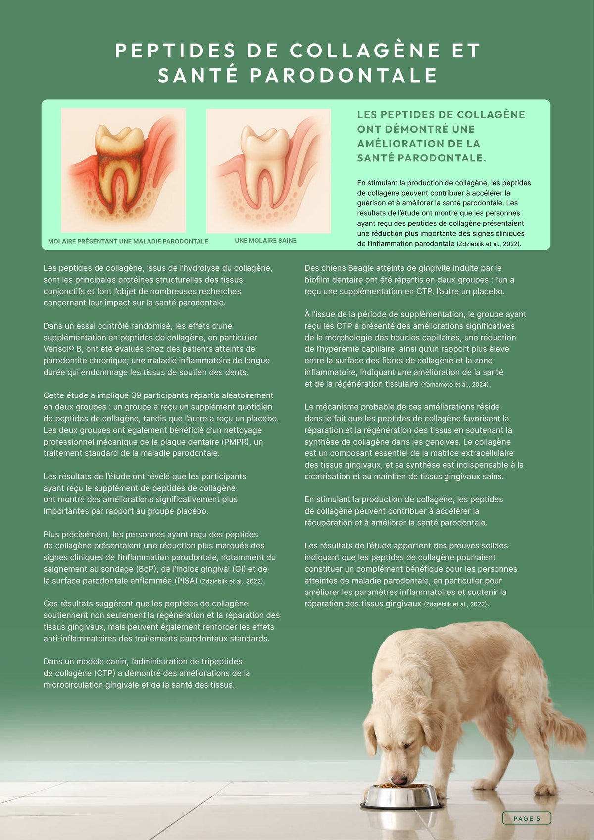 Précision 3 — Soins Dentaires Dinde & saumon hydrolysés - Adulte
