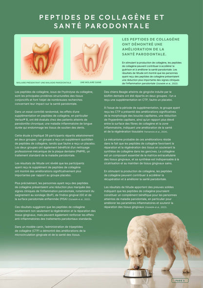 Précision 3 — Soins Dentaires Dinde & saumon hydrolysés - Adulte