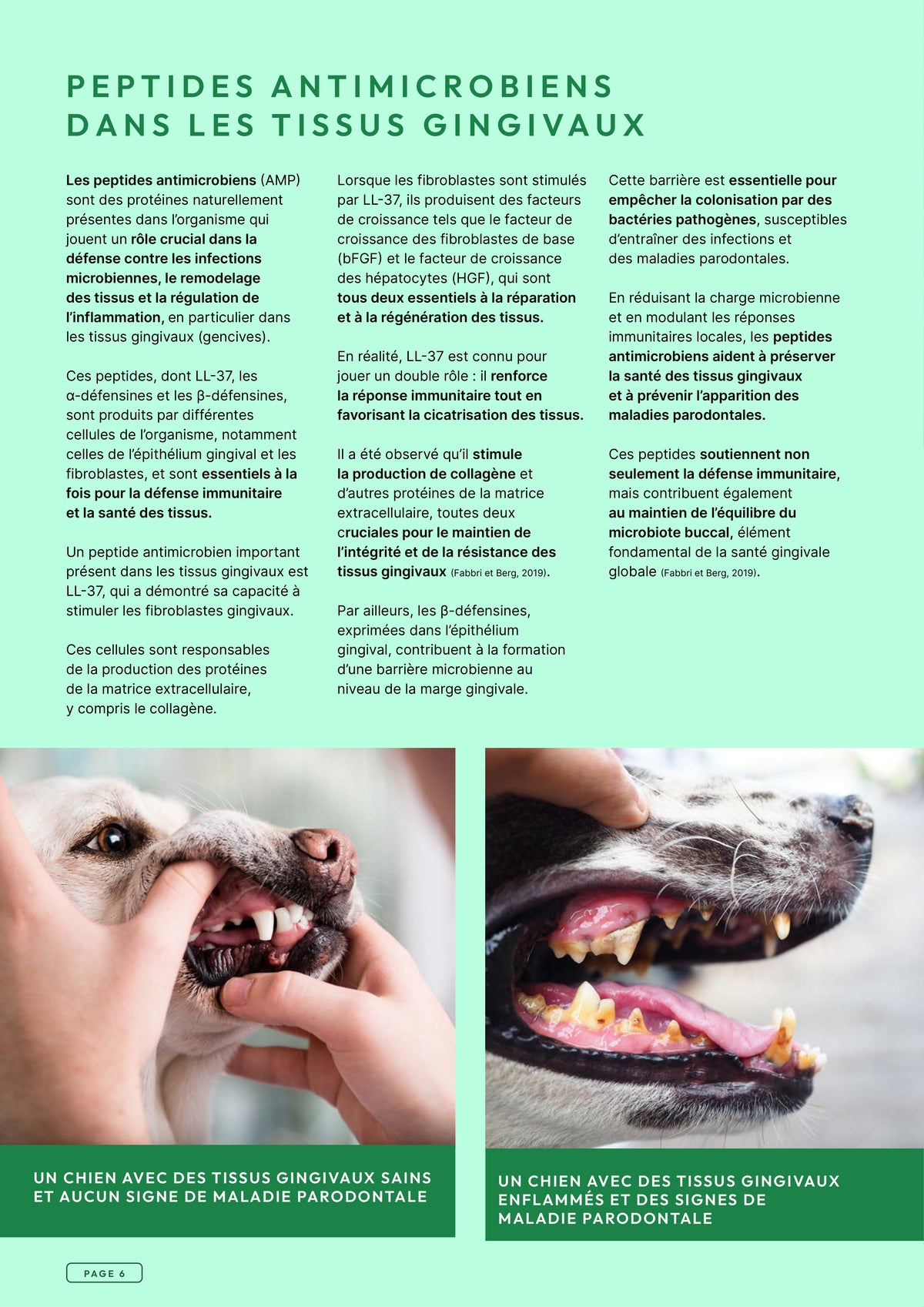 Précision 3 — Soins Dentaires Dinde & saumon hydrolysés - Adulte
