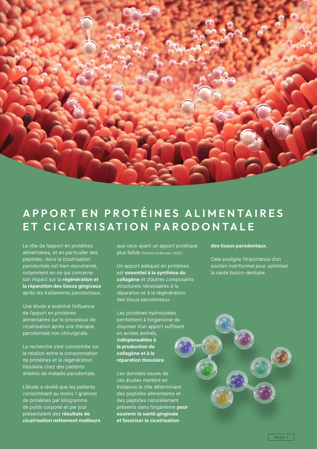 Précision 3 — Soins Dentaires Dinde & saumon hydrolysés - Adulte