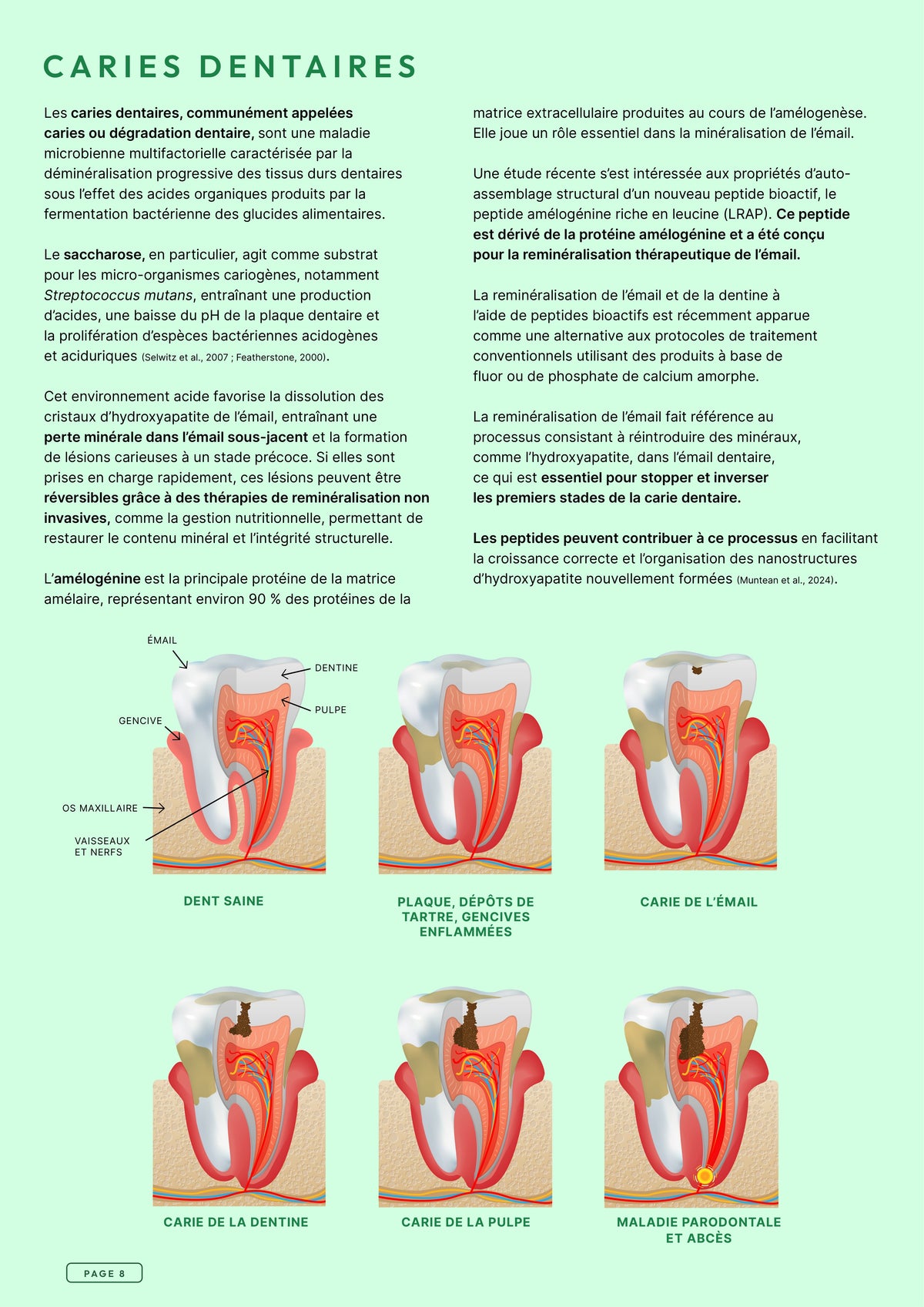 Précision 3 — Soins Dentaires Dinde & saumon hydrolysés - Adulte