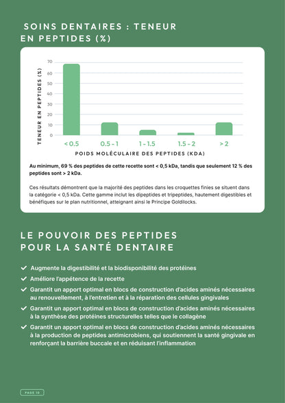 Précision 3 — Soins Dentaires Dinde & saumon hydrolysés - Adulte