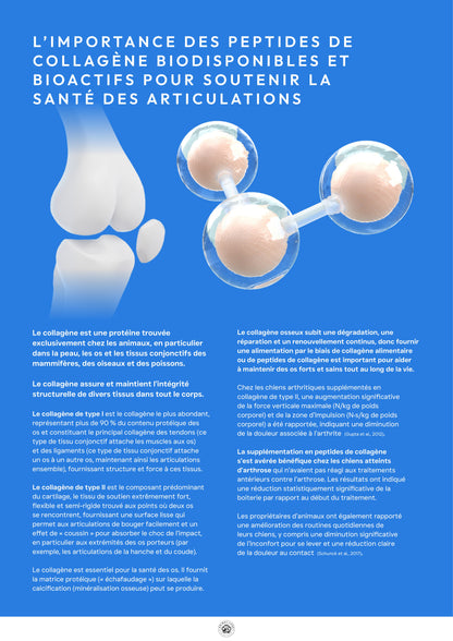 Précision 3 — Contrôle du Poids & Articulations Poisson blanc hydrolysés - Adulte