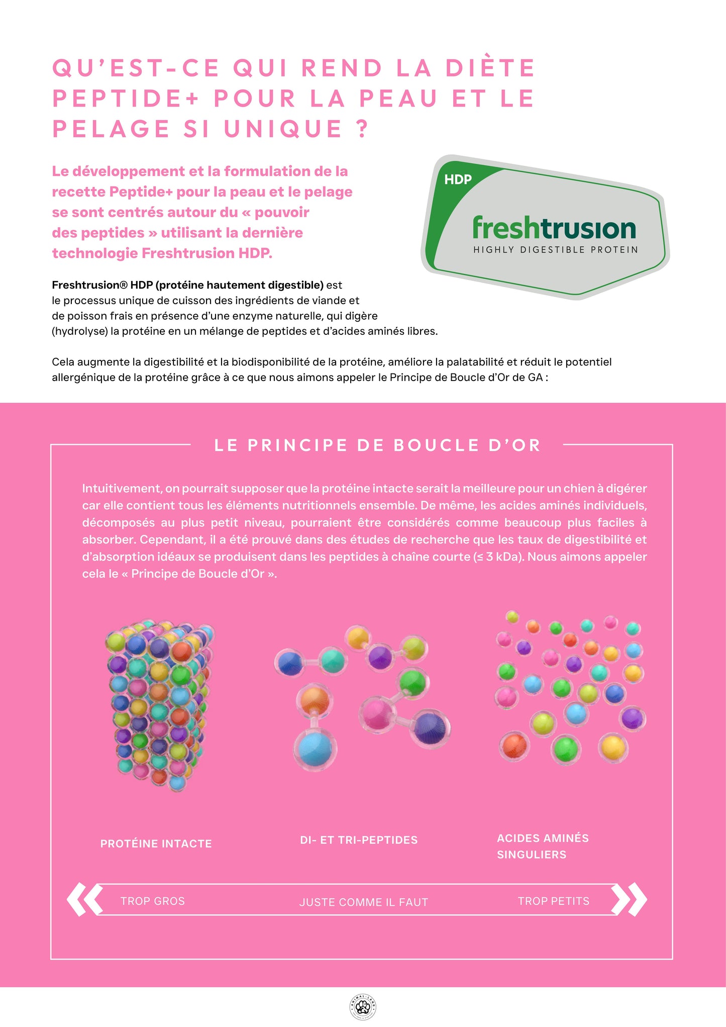 Précision 3 — Peau & Pelage, Saumon hydrolysé - Adulte