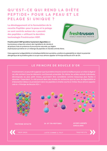 Précision 3 — Peau & Pelage, Saumon hydrolysé - Adulte