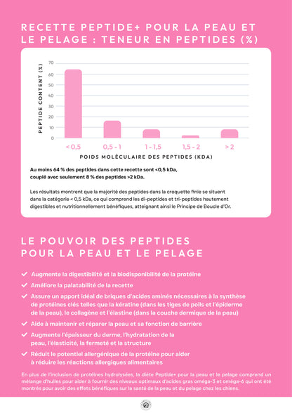 Précision 3 — Peau & Pelage, Saumon hydrolysé - Adulte