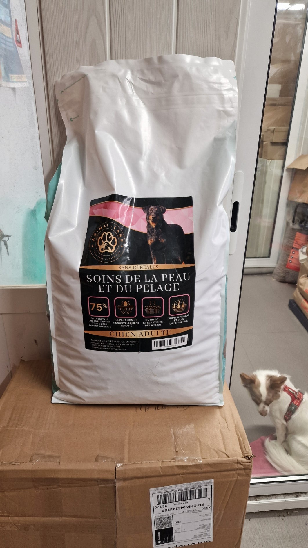 Peptide chien soins de la peau et du pelage