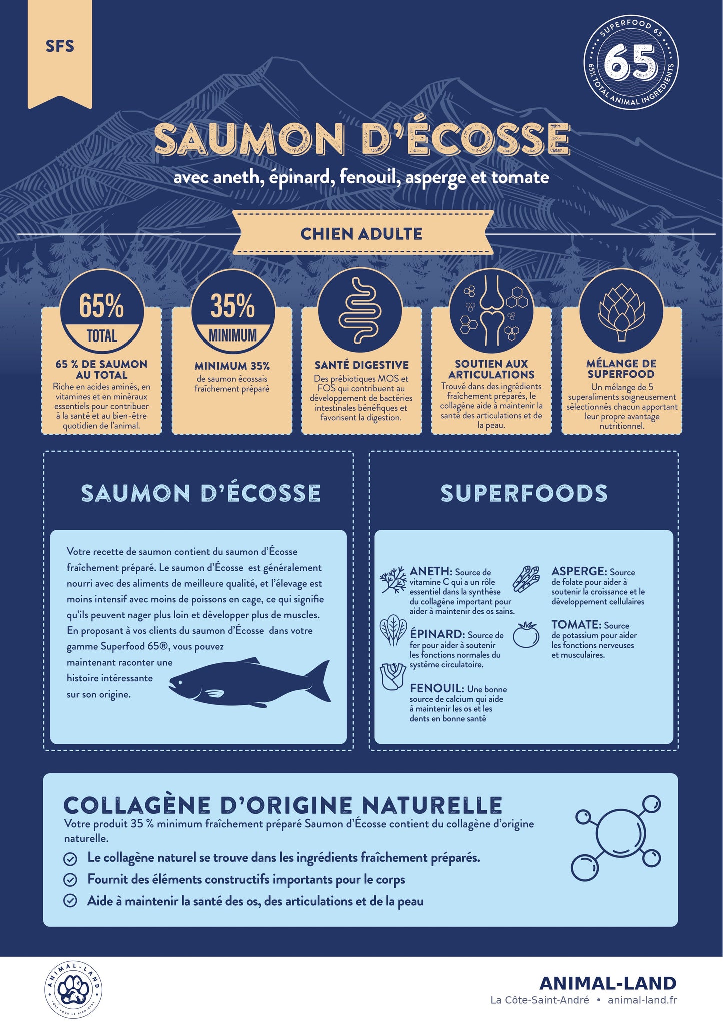Superfood 65 — Adulte  Saumon d'Ecosse, aneth, épinard, fenouil, asperge et tomate