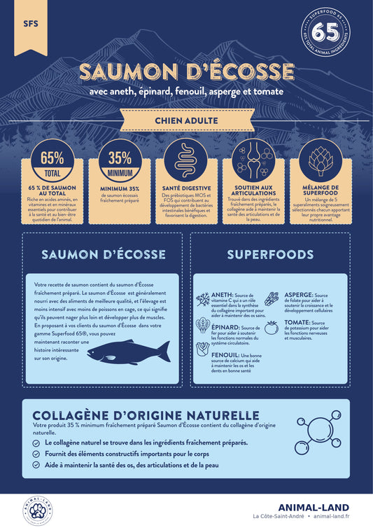 Croquettes Superfood 65% Saumon pour Chien Adulte Sans Céréales