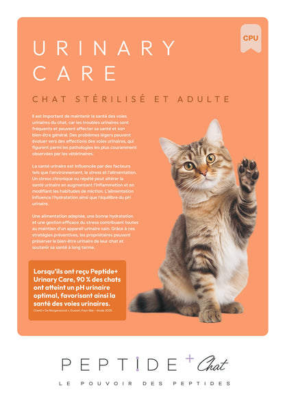 peptide + chat urinary care
