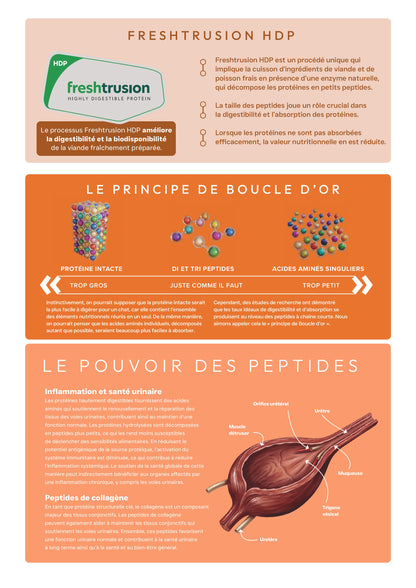 peptide + chat urinary care
