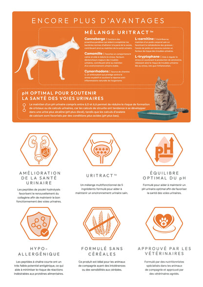 peptide + chat urinary care