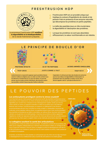Précision 3 — Vitalité Hypoallergénique Saumon hydrolysé - Tout stade de vie