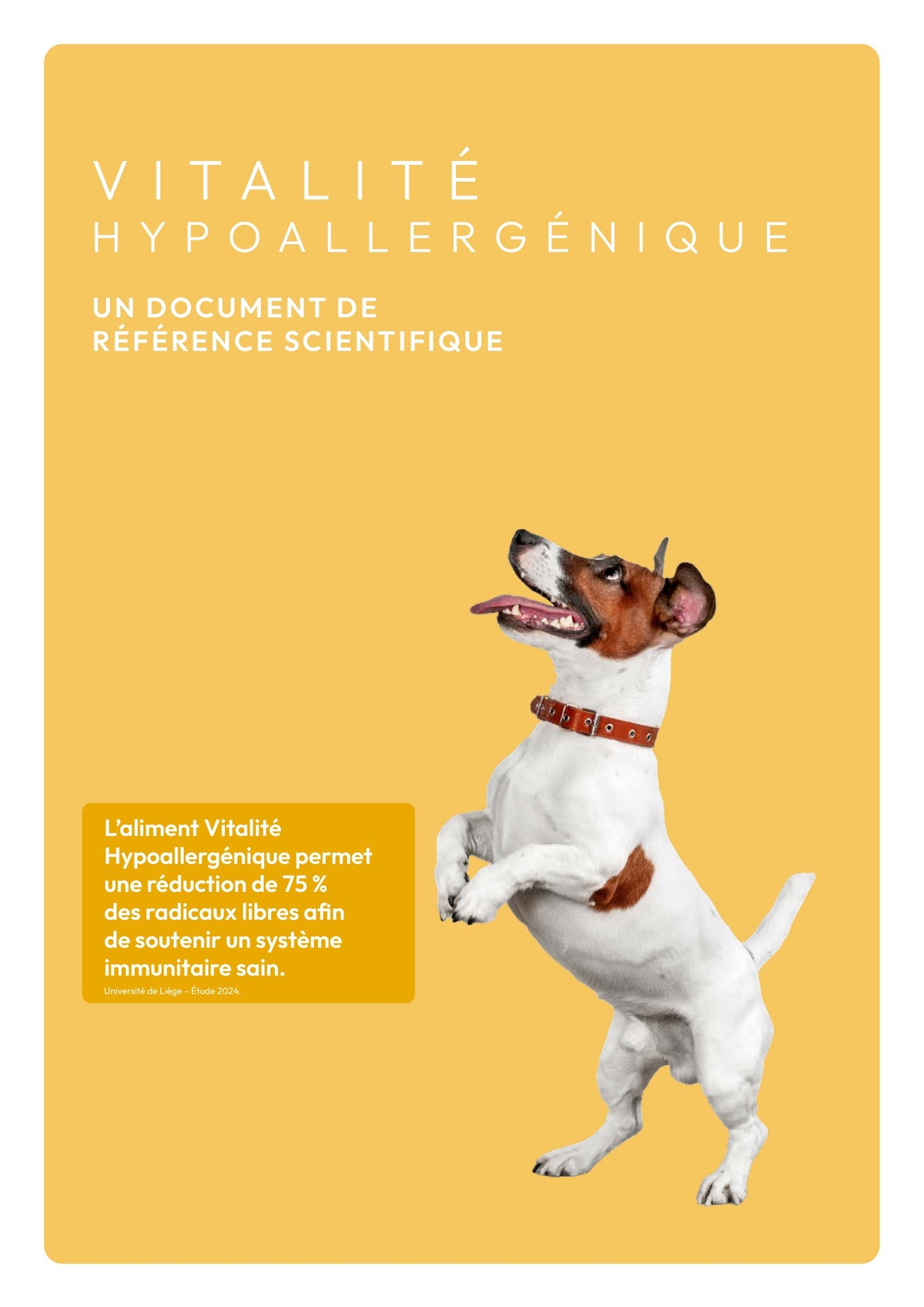 Précision 3 — Vitalité Hypoallergénique Saumon hydrolysé - Tout stade de vie