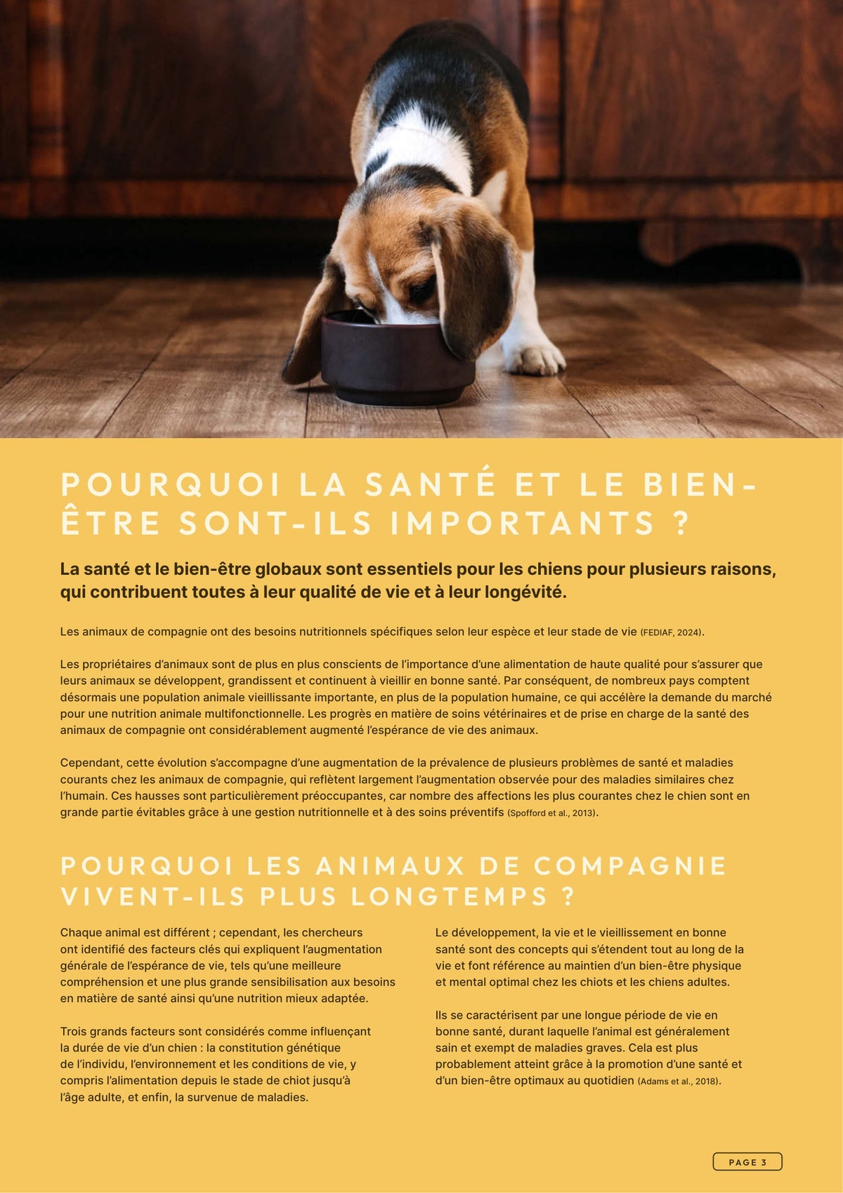 Précision 3 — Vitalité Hypoallergénique Saumon hydrolysé - Tout stade de vie
