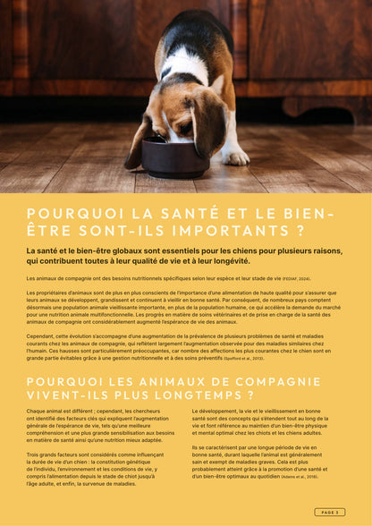 Précision 3 — Vitalité Hypoallergénique Saumon hydrolysé - Tout stade de vie