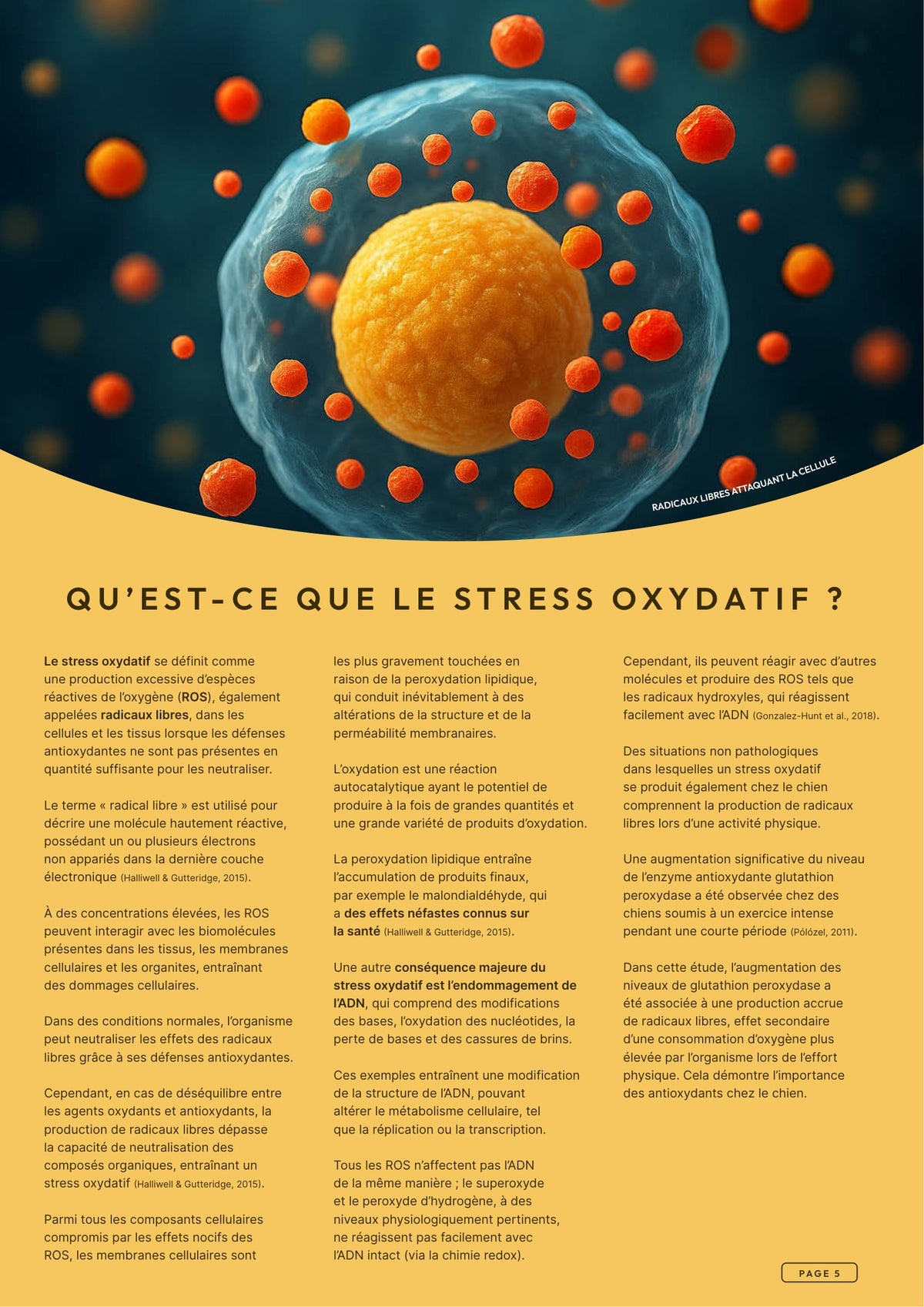 Précision 3 — Vitalité Hypoallergénique Saumon hydrolysé - Tout stade de vie