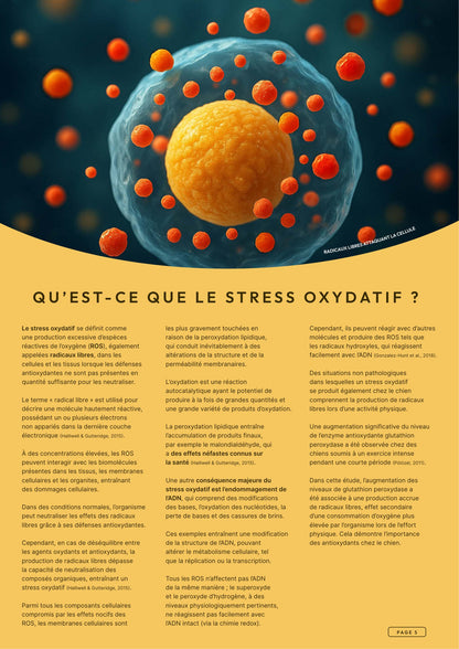 Précision 3 — Vitalité Hypoallergénique Saumon hydrolysé - Tout stade de vie