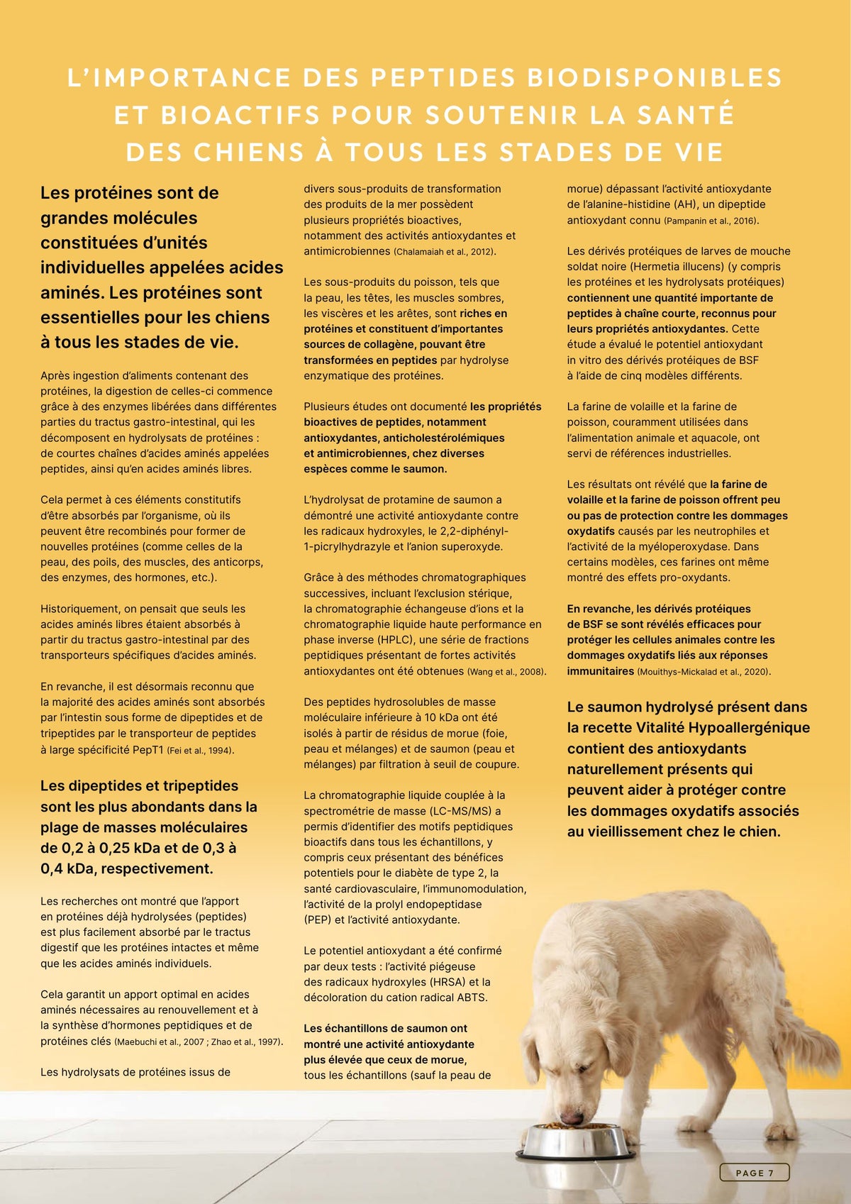 Précision 3 — Vitalité Hypoallergénique Saumon hydrolysé - Tout stade de vie