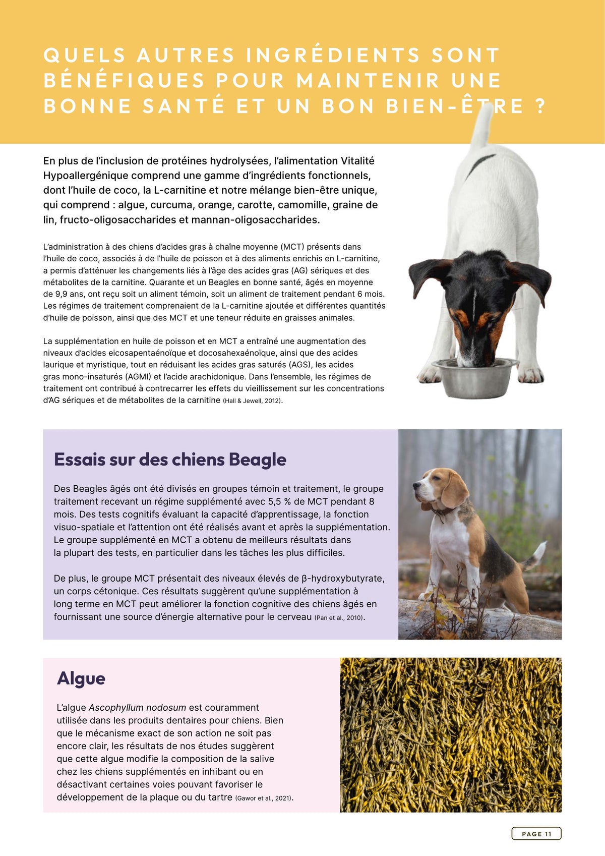 Précision 3 — Vitalité Hypoallergénique Saumon hydrolysé - Tout stade de vie